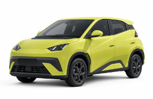BYD Dolphin Surf